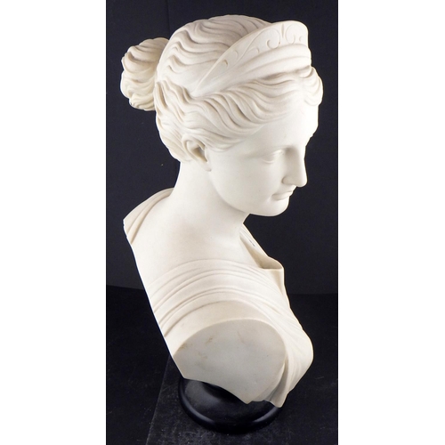 222 - A reconstituted marble bust of Diana 48cm tall