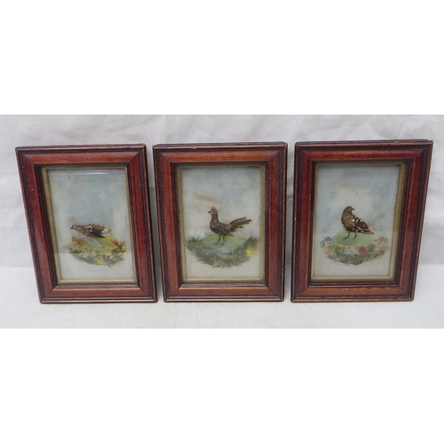 306 - Three miniature studies of birds, feather collage on glass.  Each 7 x 11cm within frames and slips. ... 