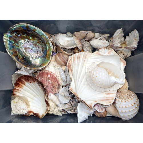 279 - A  Qty of Shells