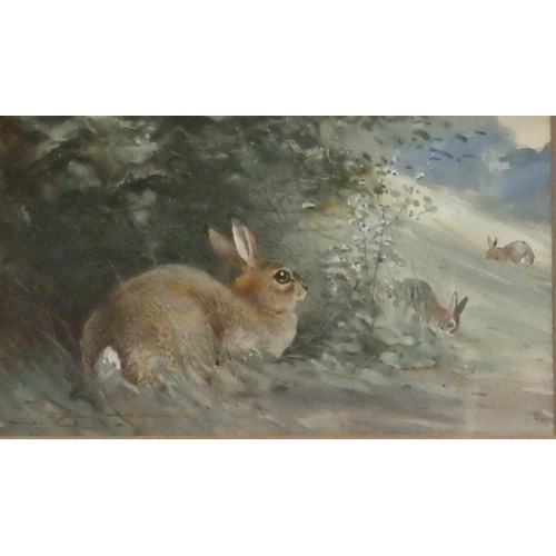 364 - Rabbits in a hedge and Partridges in the snow, a pair of game watercolour paintings, Charles Whymper... 