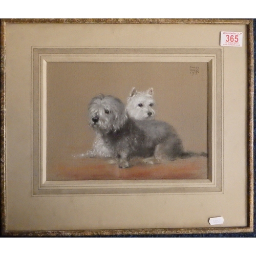 365 - Two white Yorkshire Terriers, pastel on paper, Donald Wood 1951.  28 x 20cm within mount and frame.