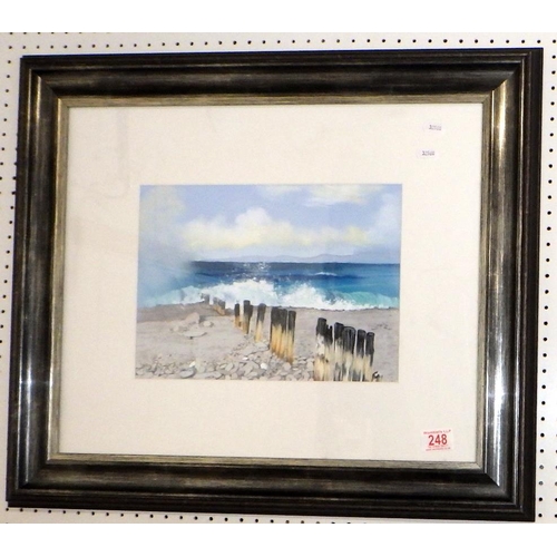 248 - A framed Georgina Crawford pastel 65 x 55cm inc frame, ex Leeds Central Library