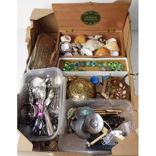 293 - A collectors lot to inc silver caddy spoon, oriental white metal spoons, shells, marbles etc