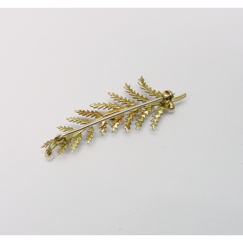 64 - A brooch modelled as a fern frond and set with 9 pearls.  50mm long / 4g gross