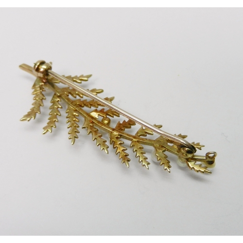 64 - A brooch modelled as a fern frond and set with 9 pearls.  50mm long / 4g gross