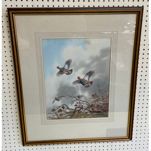 40 - Robert W Milliken (British 1920-2014): Partridges in Flight, watercolour signed 35cm x 27cm