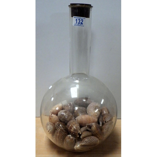 132 - A large Pyrex 10L lab bottle containing shells