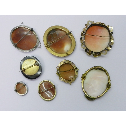 64 - A collection of eight shell carved cameo brooches, 19th cent and later some a/f, various mount metal... 