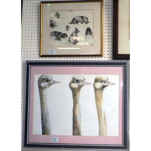 257 - Wayne Sleeth a picture of emu heads 62 x 52cm inc frame together with another featuring a dog