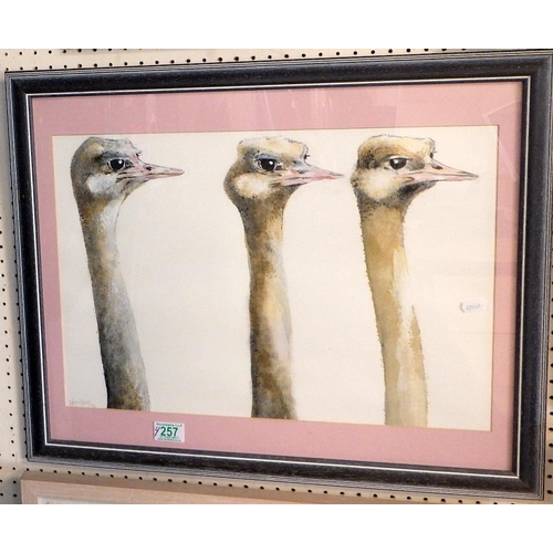 257 - Wayne Sleeth a picture of emu heads 62 x 52cm inc frame together with another featuring a dog