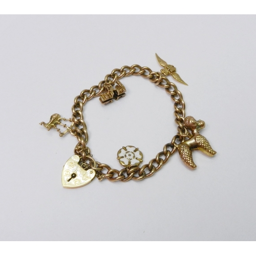 49 - A charm bracelet comprising a 9ct gold chain link bracelet with a 9ct gold padlock clasp, the whole ... 