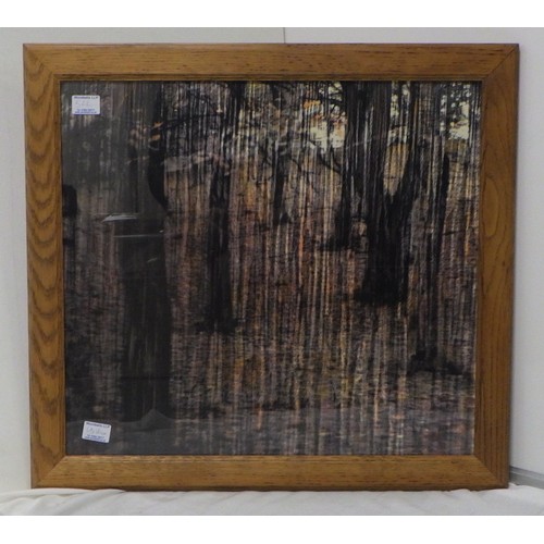 51 - Two Liza Dracup pictures: 'Autumn Trees', hand tinted photomanipulation 1991 (69x63cm) and 'Brown Tr... 