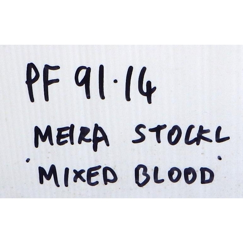 131 - Meira Stockl, 'Mixed Blood', framed tapestry : 79x110cm. VAT & Buyers Premium apply, ARR if sold for... 