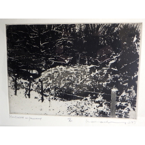  Norman Ackroyd RA, Harewood in January, 15/90 etching 1997: 43x38cm