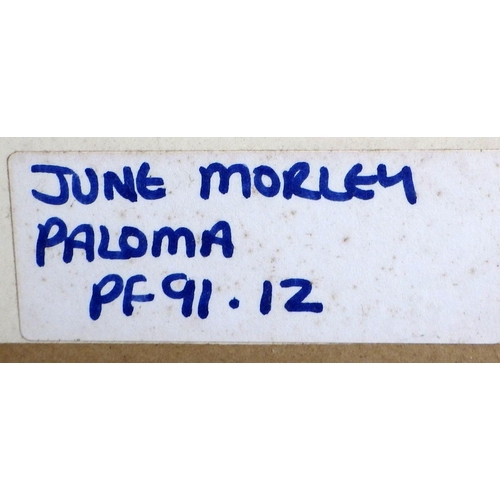 260 - June Morley, 'Paloma', 1/50 no date: 95x81cm. VAT & Buyers Premium apply, ARR if sold for £1000 or m... 