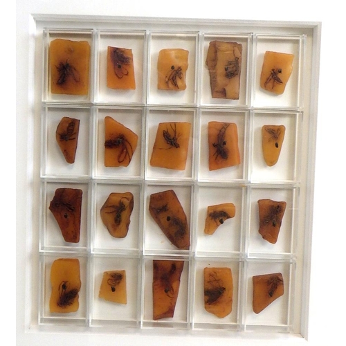 34 - Malcolm Whittaker, 'Swarm I', assemblage with wax and oil 1998: 67x64cm. VAT & Buyers Premium apply,... 