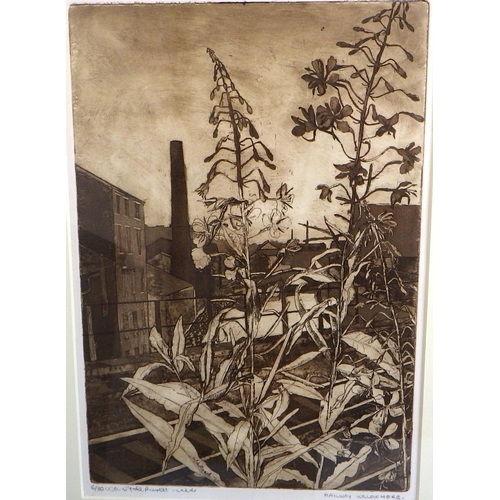 39 - Three Wendy de Rusett etchings: 'Railway Willowherb', 1982 (48x37cm); 'Canalside, Leeds', 1991 (47x4... 