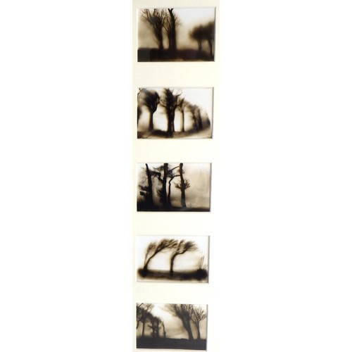 51 - Two Liza Dracup pictures: 'Autumn Trees', hand tinted photomanipulation 1991 (69x63cm) and 'Brown Tr... 