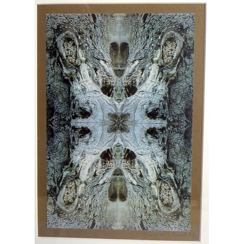 152 - Two Margaret McCreath photo collage prints: 'Tranquility' and 'Gnarled Tree', both 1992 and 48x38cm ... 