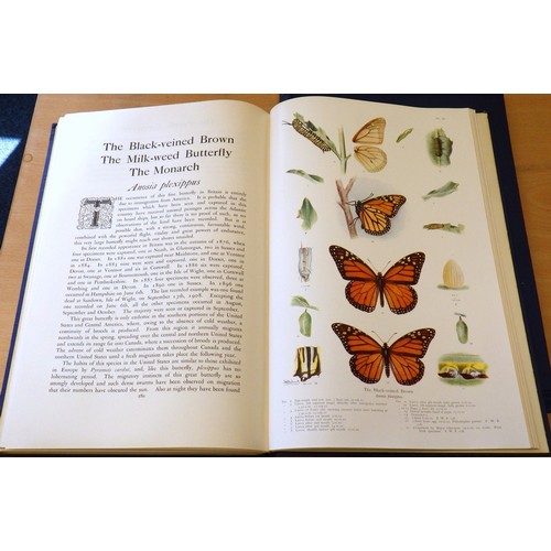 251 - Two volumes of F.W. Frohawk, 'Natural History of British Butterflies' together with the two volume s... 
