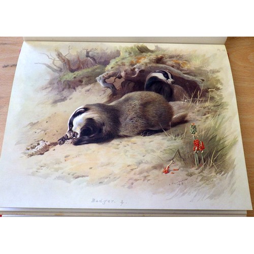 251 - Two volumes of F.W. Frohawk, 'Natural History of British Butterflies' together with the two volume s... 