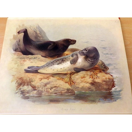 251 - Two volumes of F.W. Frohawk, 'Natural History of British Butterflies' together with the two volume s... 