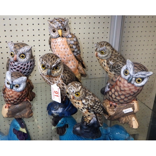 91 - A Parliament of owls