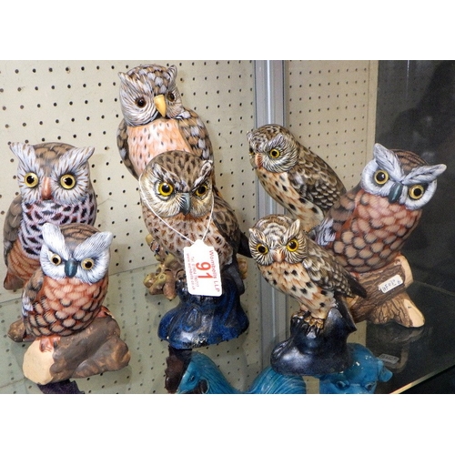 91 - A Parliament of owls