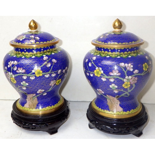 141 - A pair of cloisonné floral lidded urns, 19cm tall