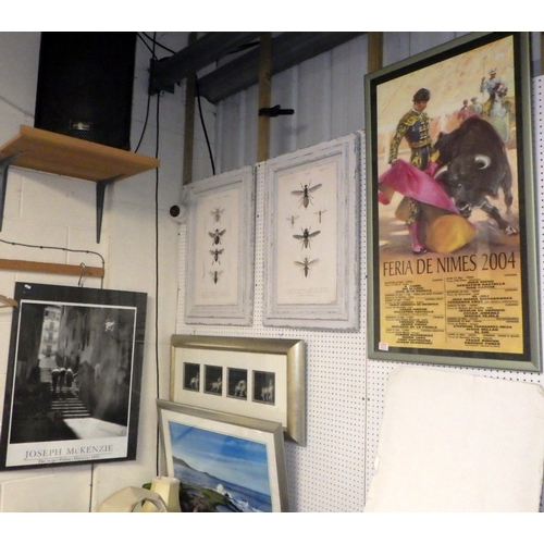 377 - Two framed insect boards, framed horse figure wall art etc