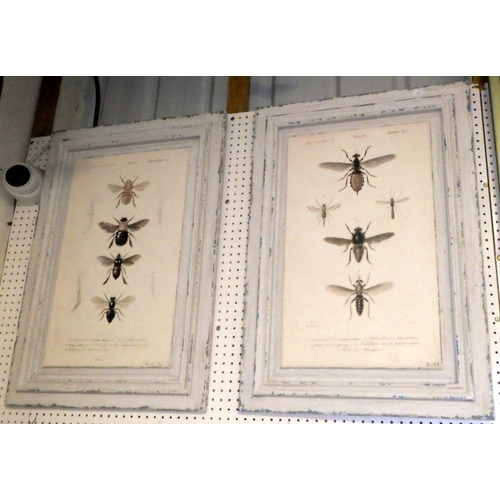 377 - Two framed insect boards, framed horse figure wall art etc