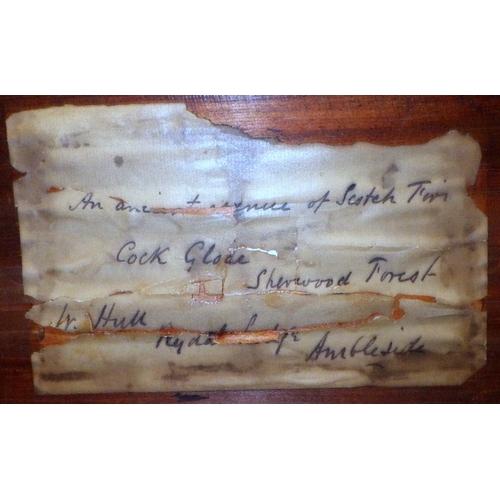 148 - WILLIAM HULL, 1820-1880 Forest landscape. Signed and dated lower right 