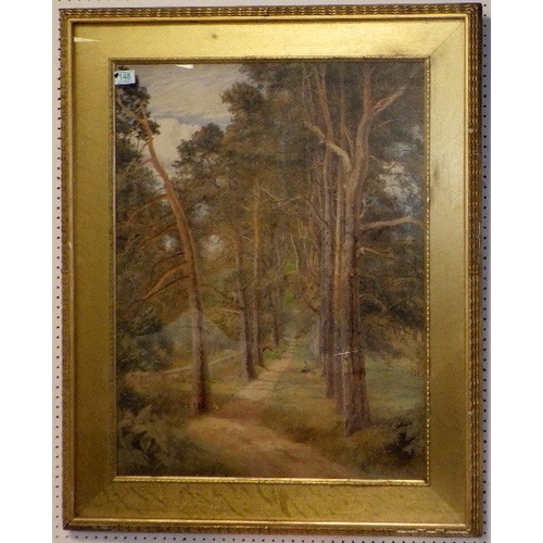 148 - WILLIAM HULL, 1820-1880 Forest landscape. Signed and dated lower right 