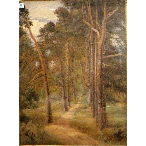 148 - WILLIAM HULL, 1820-1880 Forest landscape. Signed and dated lower right 