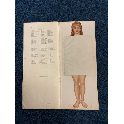 414 - A vintage anatomical chart titled 