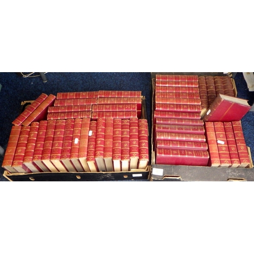 Lot 40        