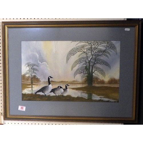 Lot 49        