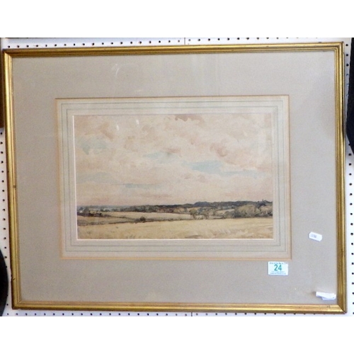 Lot 24        
