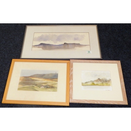 Lot 25        
