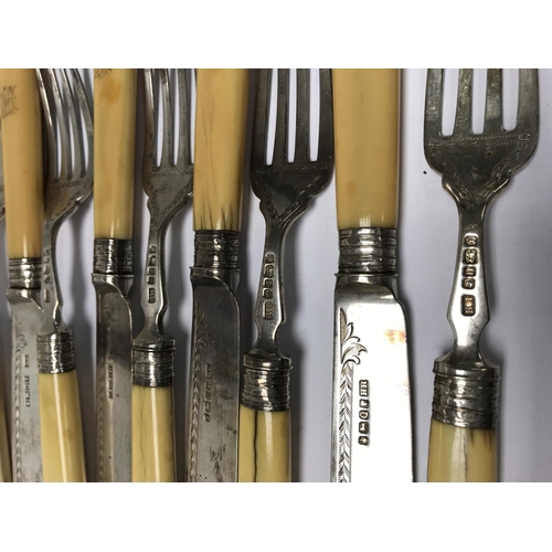 52 - A 6 setting Hallmarked silver and ivory fish set with marks for Harrison brothers & Howson, Sheffiel... 