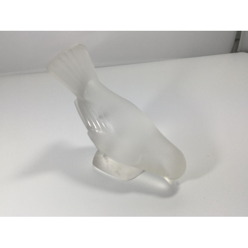 1114 - A Lalique glass bird with raised tail feathers. Inscribed base height 11cm. No damage except scratch... 