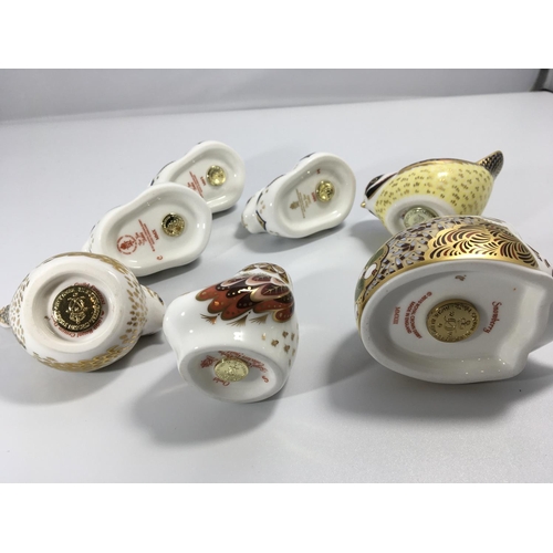 1155 - A collection of Royal Crown Derby porcelain ornaments three rabbits an owl two birds and a Hedgehog ... 