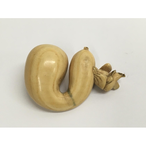 1302 - A Japanese ivory netsuke in the form of a miniature figure beside a nut .