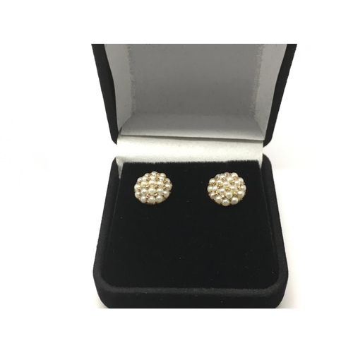 741 - A pair of 9ct gold earrings set with seed pearls