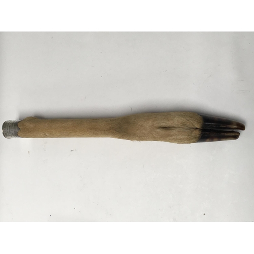 Lot 719       