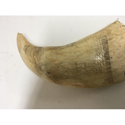 763 - A Genuine early 19th century or late 18th century carved Scrimshaw whale tooth of large size carved ... 