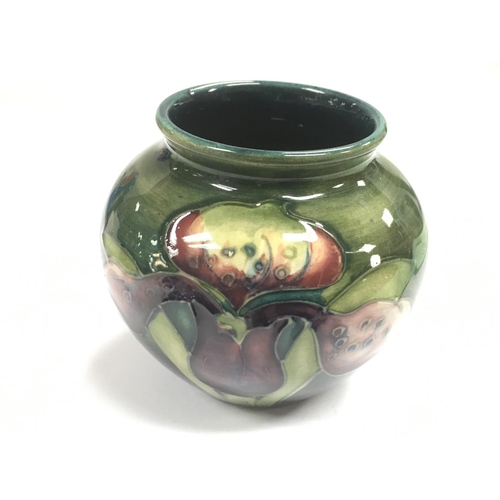 1000 - A small Moorcroft Orchid vase, approx 7cm.