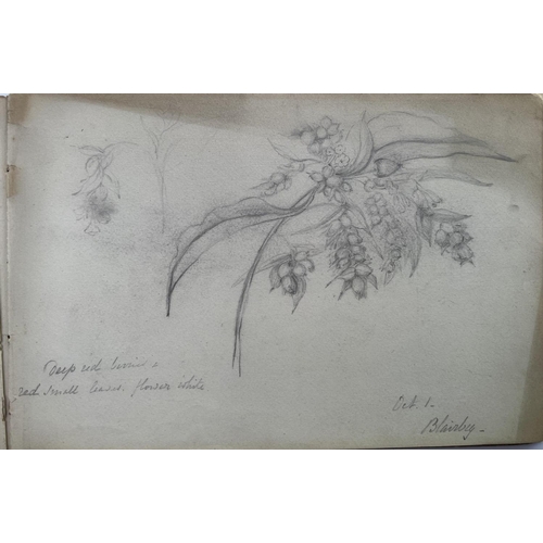 2018 - A small sketchbook belonging to Robert Barrett Browning 1875-1877, multiple pencil sketches with loo... 