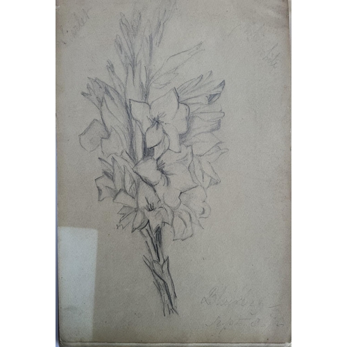 2018 - A small sketchbook belonging to Robert Barrett Browning 1875-1877, multiple pencil sketches with loo... 