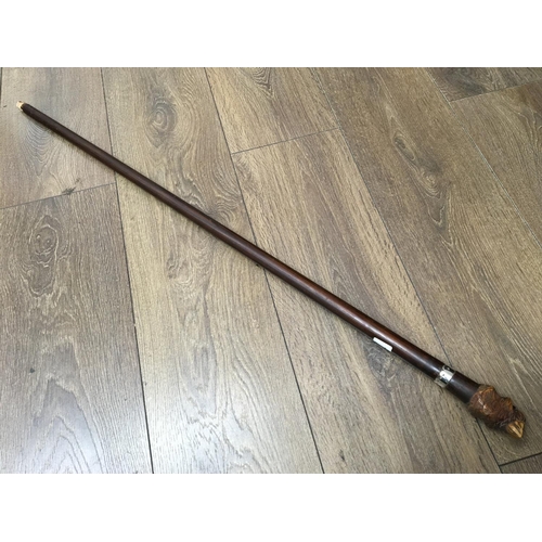 734 - A novelty walking stick with carved parrot handle